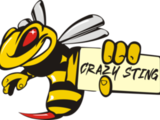 crazy_sting_logo.png